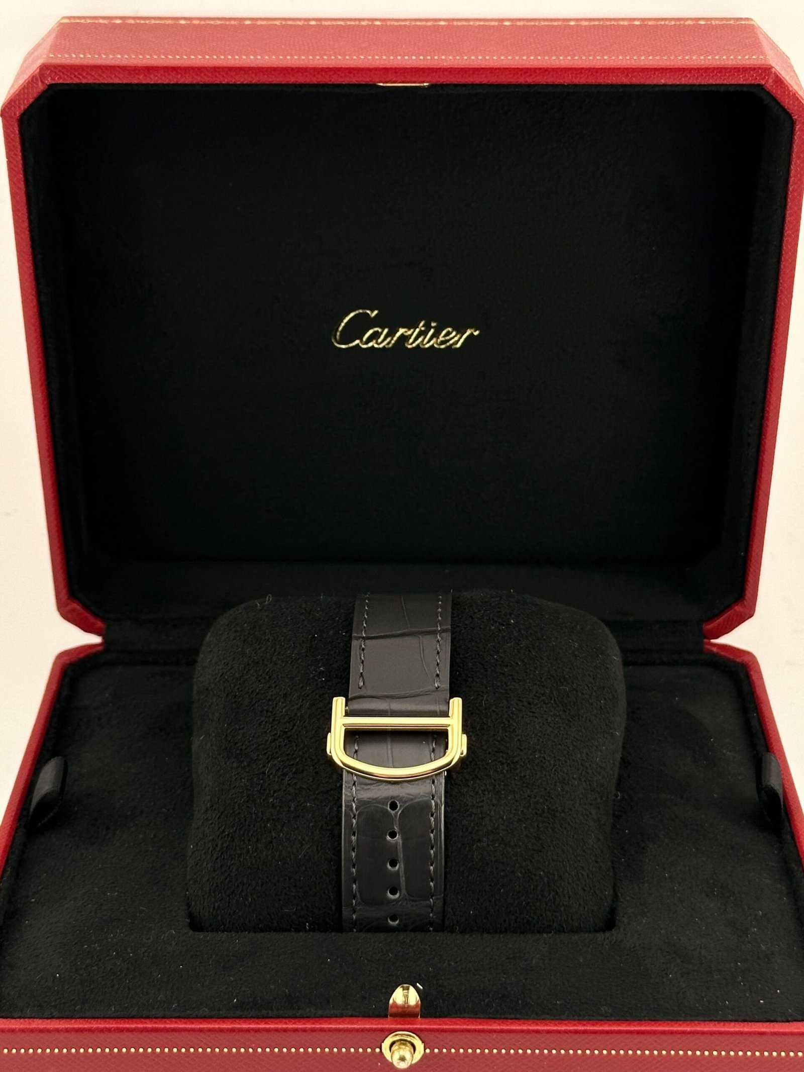 cartier-pasha-wgpa0007-yellow-gold-large-model-2020-cartier-41608318484724-scaled-1.jpg