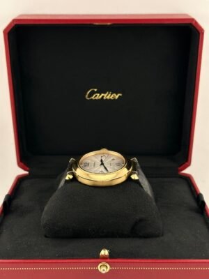cartier-pasha-wgpa0007-yellow-gold-large-model-2020-cartier-41608318517492-scaled-1.jpg